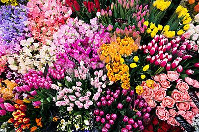 《亚瑟王：第九军团》Steam页面上线 支持中文2024年初发售